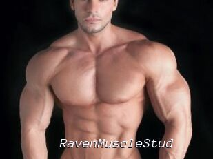 RavenMuscleStud