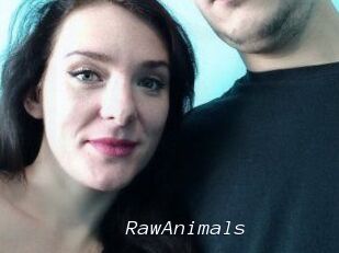 RawAnimals