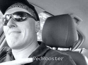 RedRooster