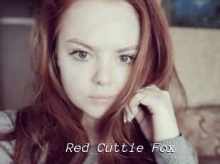 Red_Cuttie_Fox