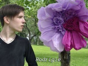 Rodrigie