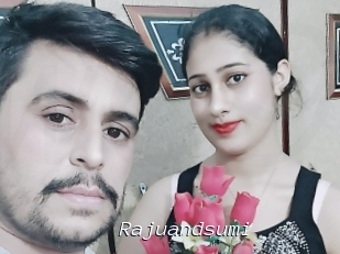 Rajuandsumi