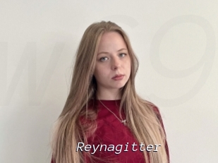 Reynagitter