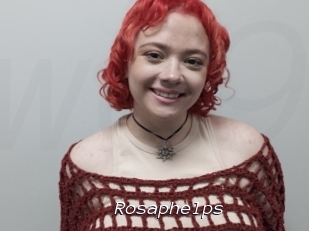 Rosaphelps
