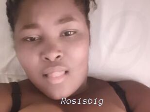 Rosisbig