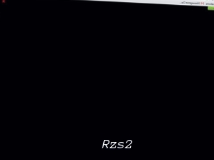 Rzs2
