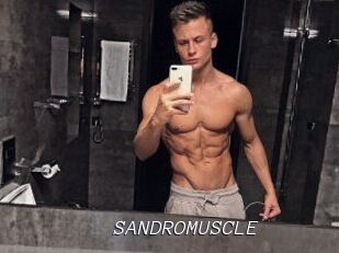 SANDRO_MUSCLE