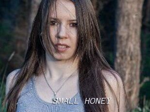 SMALL_HONEY