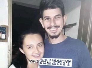 SNAKEANDBUNNY