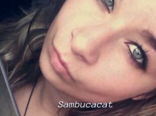 Sambucacat