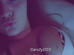 SandyD55