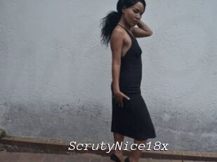 ScrutyNice18x