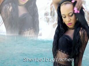 Shenielbiginches