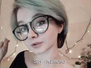 Shy_Mimosa