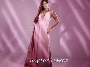 SkylerBlakes