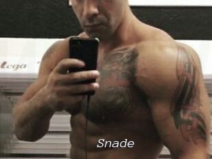 Snade