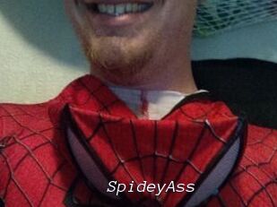 SpideyAss