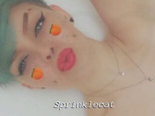 Sprinklecat