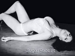 SugarRabbit