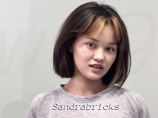 Sandrabricks