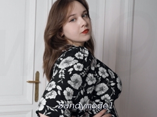Sandymodel