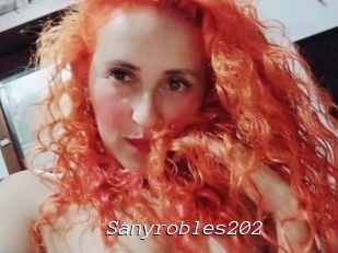 Sanyrobles202