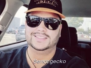 Senorgecko