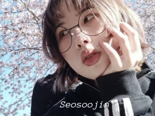 Seosoojin