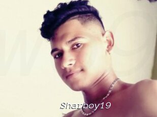 Sharboy19