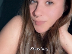 Shaybug