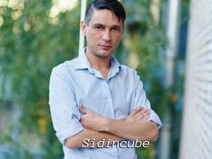 Sid_incube