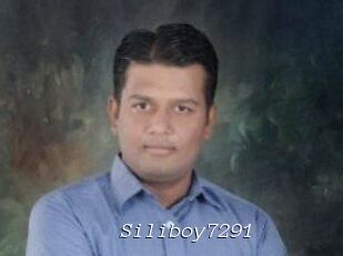 Siliboy7291