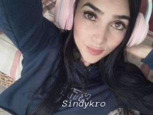 Sindykro