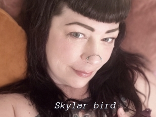 Skylar_bird