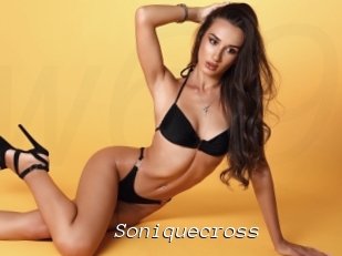 Soniquecross