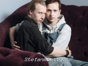 Stefanmonttgome
