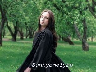 Sunnyamelybb