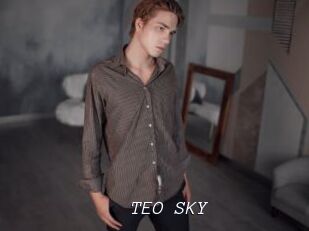 TEO_SKY