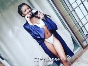 TINY20004