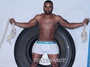 TONYBRANDT