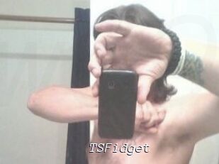 TSFidget