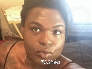 TS_Shea