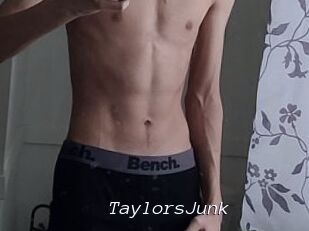 TaylorsJunk