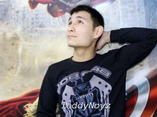 TeddyNoyz