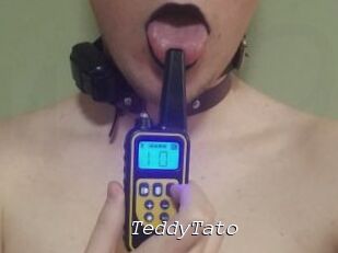 TeddyTato