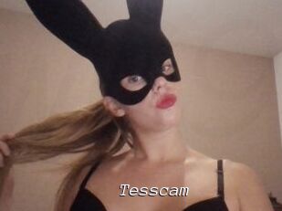 Tesscam