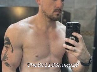 TheSolidSnake23