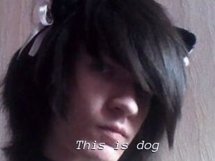 This_is_dog