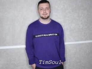 TimSoul