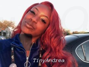 TinyAndrea